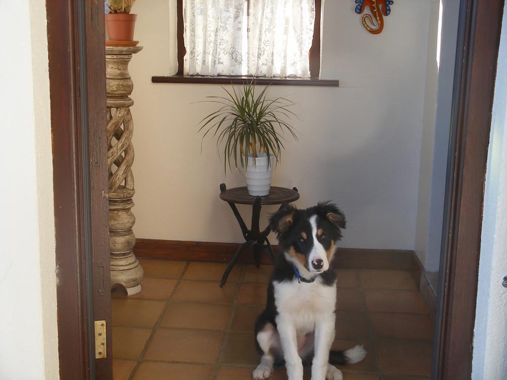 Doolin Cottage Accommodation Ngoại thất bức ảnh